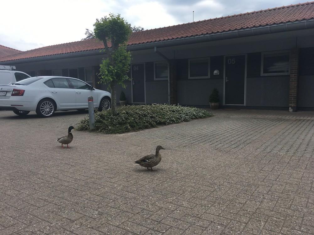 Christiansminde Hotel Svendborg Exterior foto